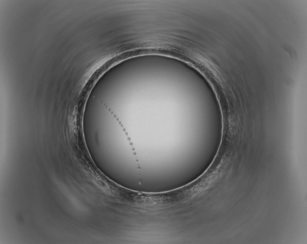 X0000113930875200909251217