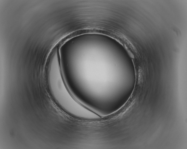 X0000113930876200909251217
