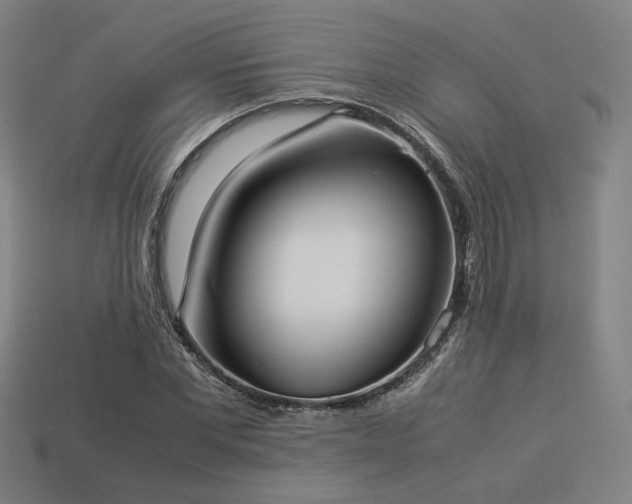 X0000113930877200909251217
