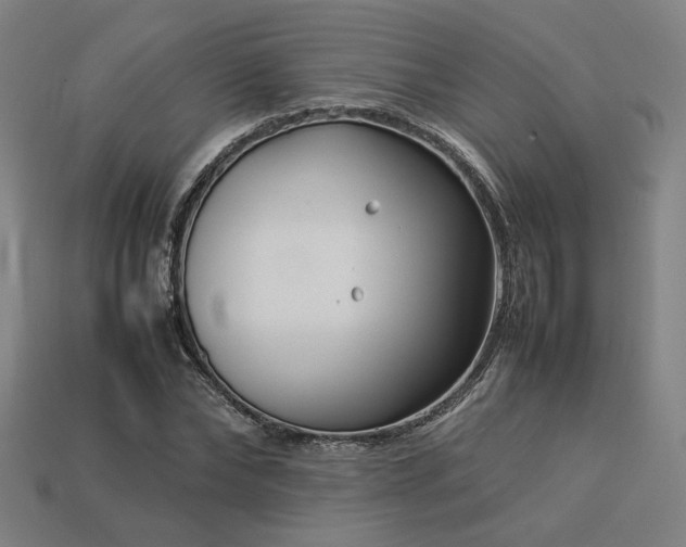 X0000113930878200909251217