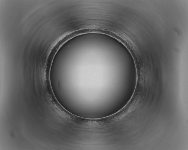 X0000113930880200909251217