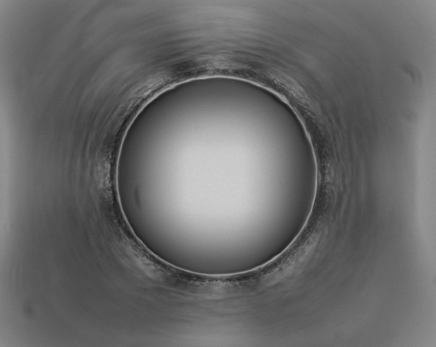 X0000113930881200909251217