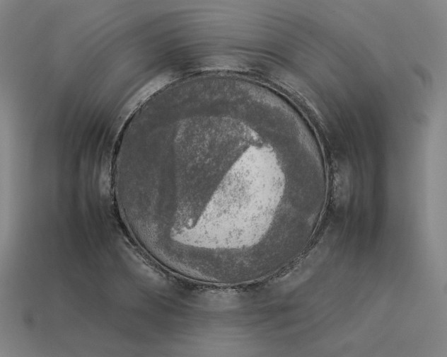 X0000113930882200909251217