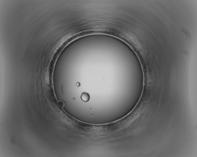 X0000113930883200909251217