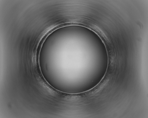 X0000113930884200909251217