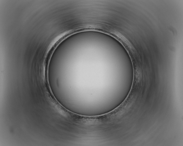 X0000113930886200909251217