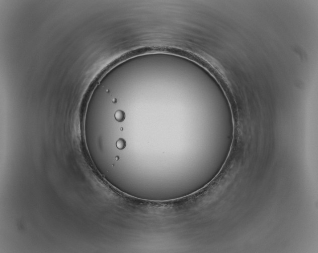X0000113930887200909251217