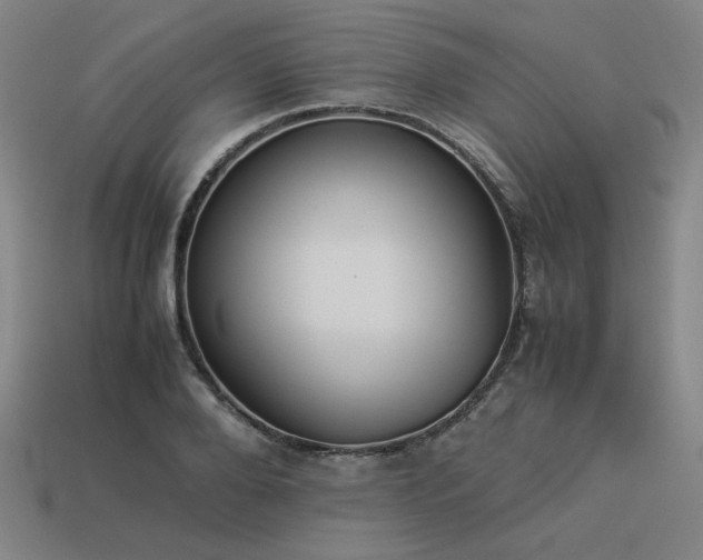 X0000113930888200909251217