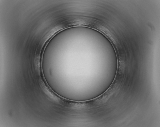 X0000113930890200909251217