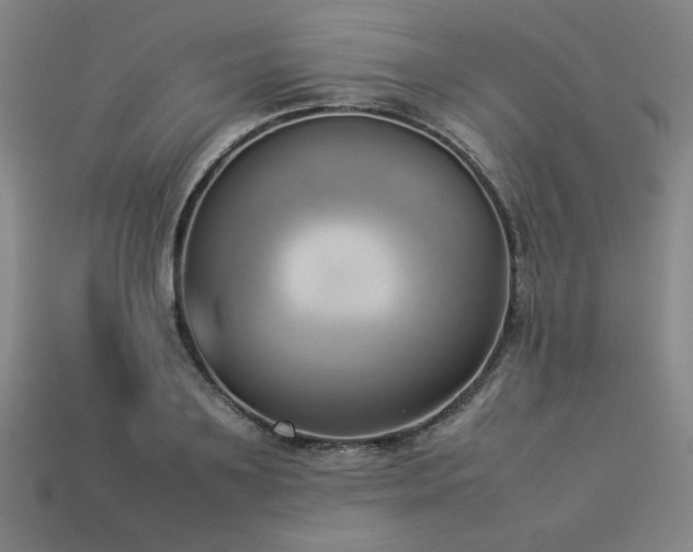 X0000113930891200909251217