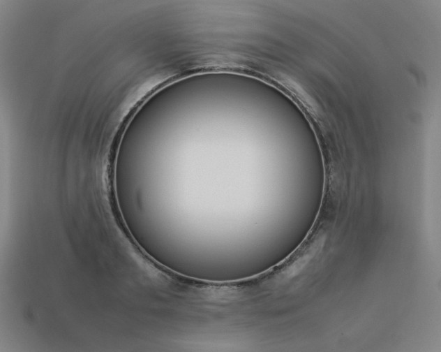 X0000113930893200909251217
