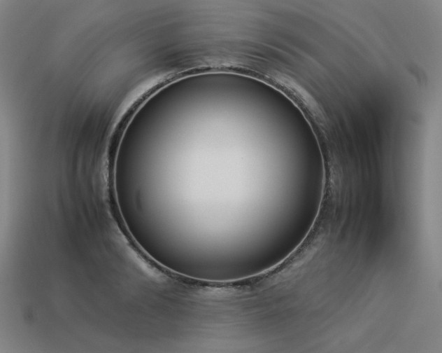 X0000113930894200909251217