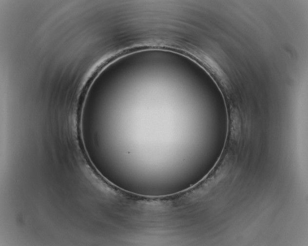 X0000113930896200909251217