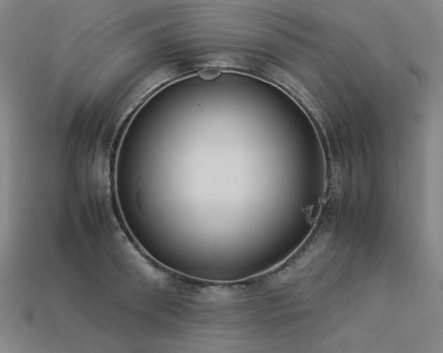 X0000113930898200909251217