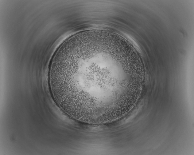 X0000113930899200909251217