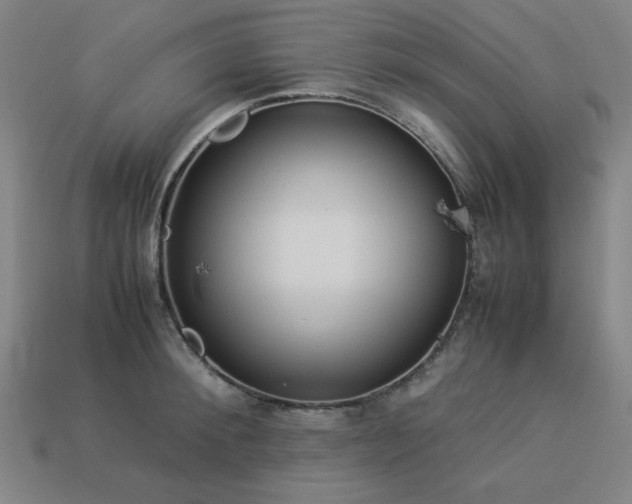 X0000113930900200909251217