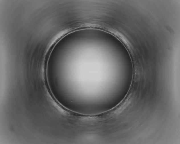 X0000113930902200909251217