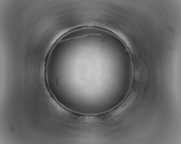 X0000113930903200909251217