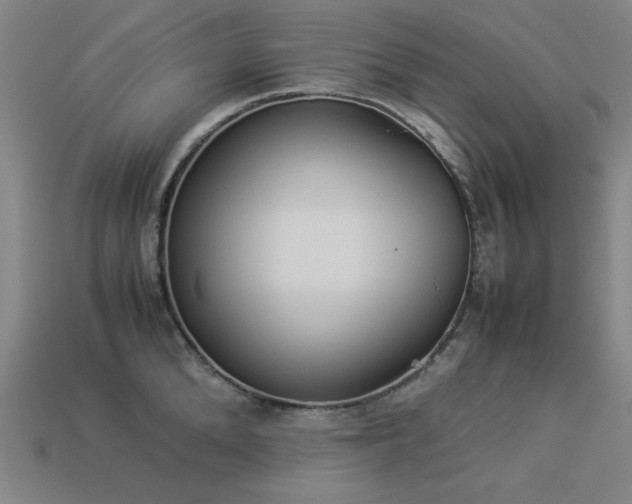 X0000113930904200909251217