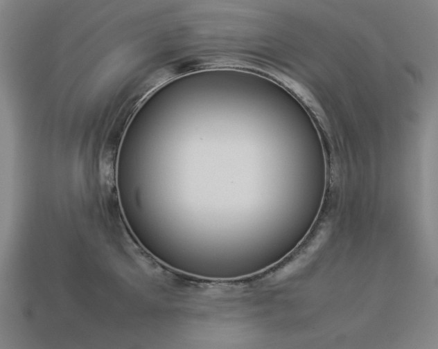 X0000113930905200909251217