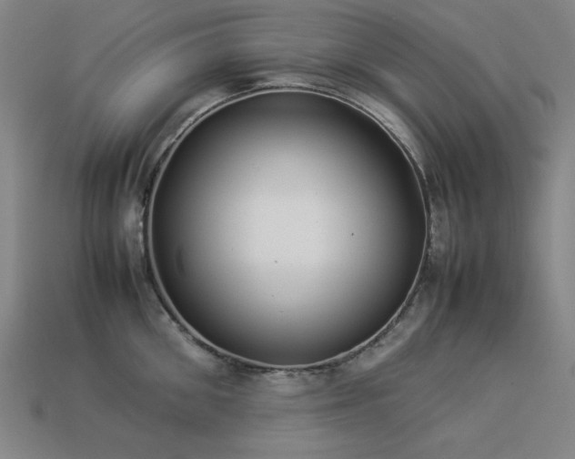 X0000113930906200909251217