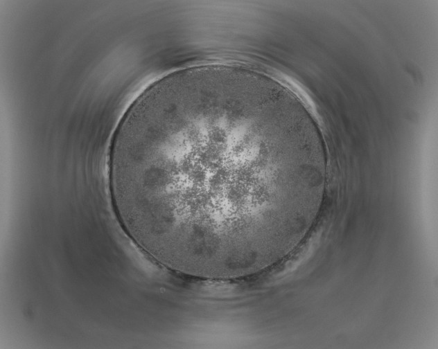 X0000113930907200909251217