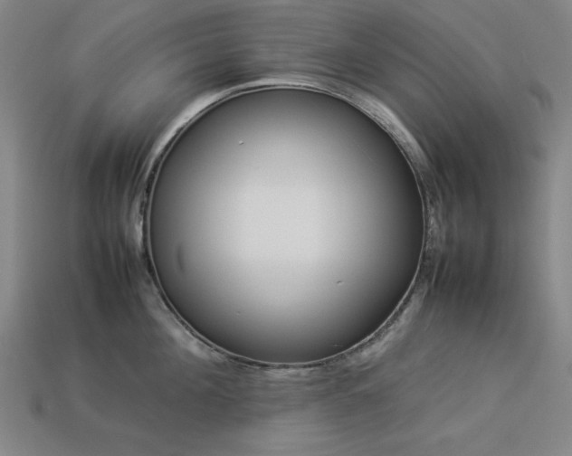X0000113930908200909251217