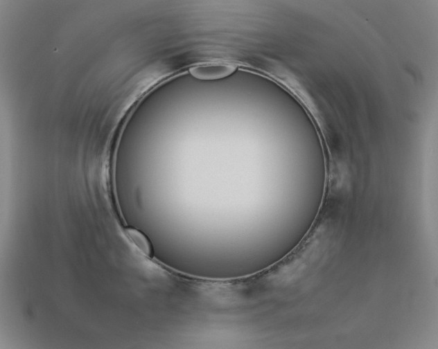 X0000113930909200909251217