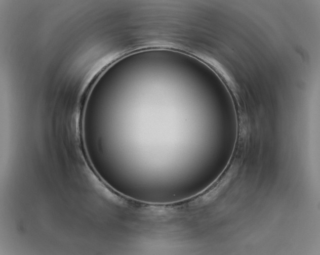 X0000113930910200909251217
