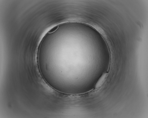 X0000113930912200909251217