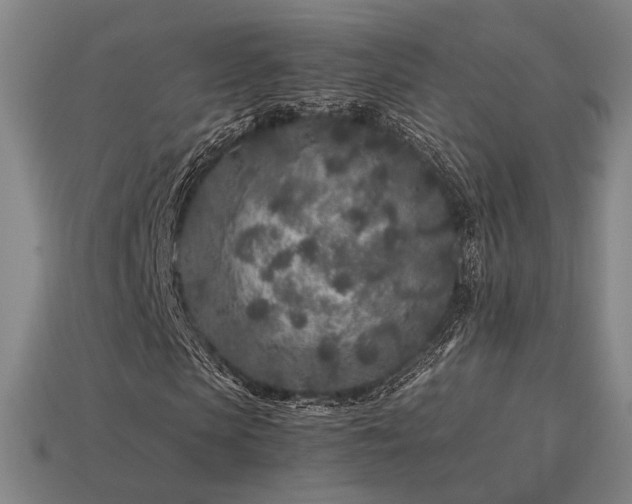 X0000113930913200909251216