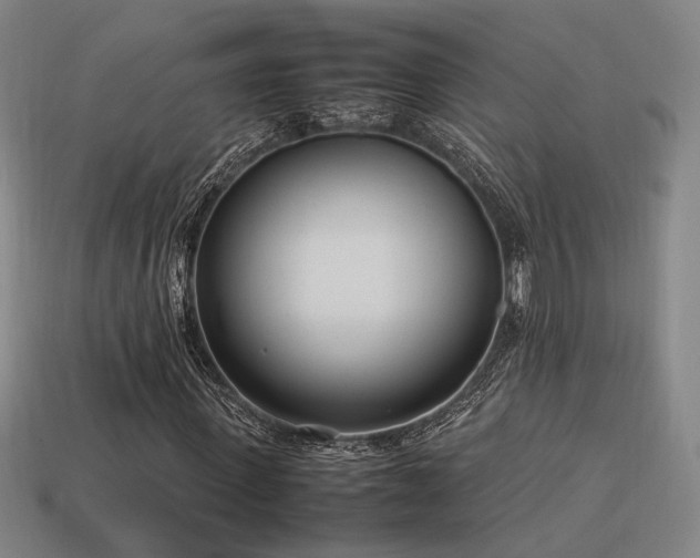 X0000113930915200909251216