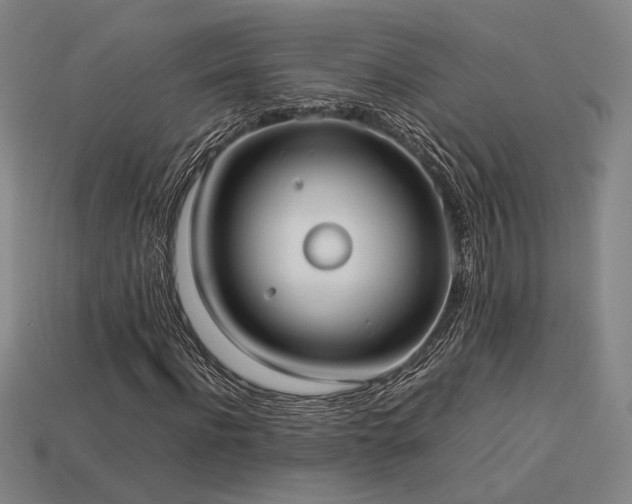 X0000113930916200909251216