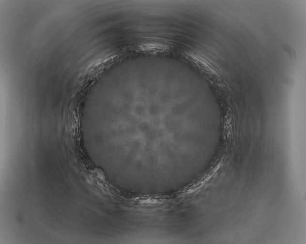 X0000113930917200909251216