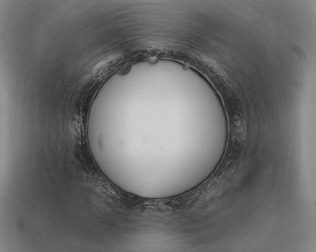 X0000113930918200909251216