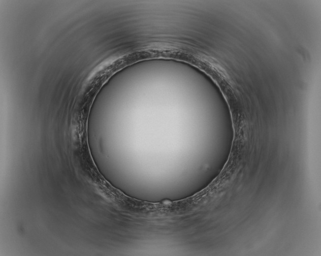 X0000113930920200909251216