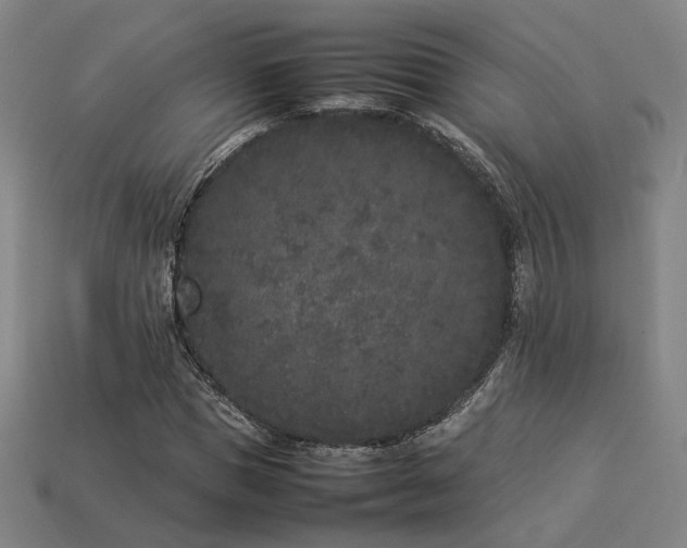 X0000113930921200909251216