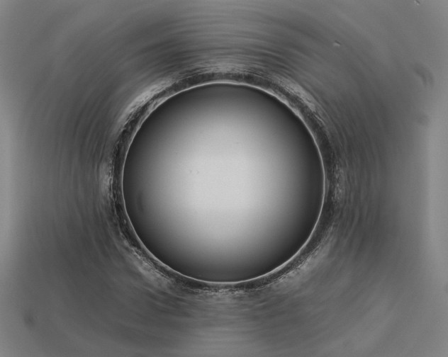 X0000113930922200909251216