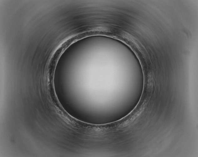 X0000113930923200909251216