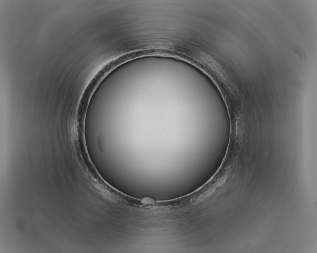 X0000113930924200909251216