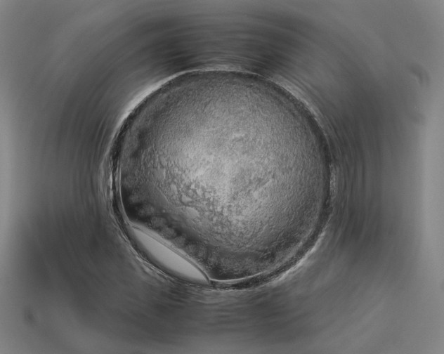 X0000113930925200909251216
