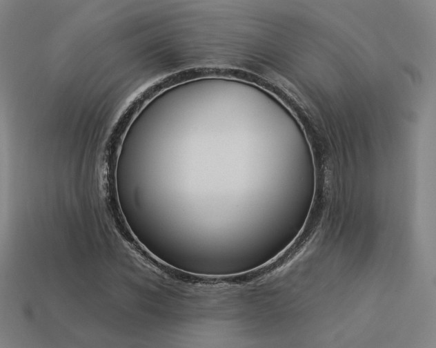 X0000113930926200909251216