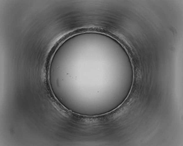 X0000113930927200909251216