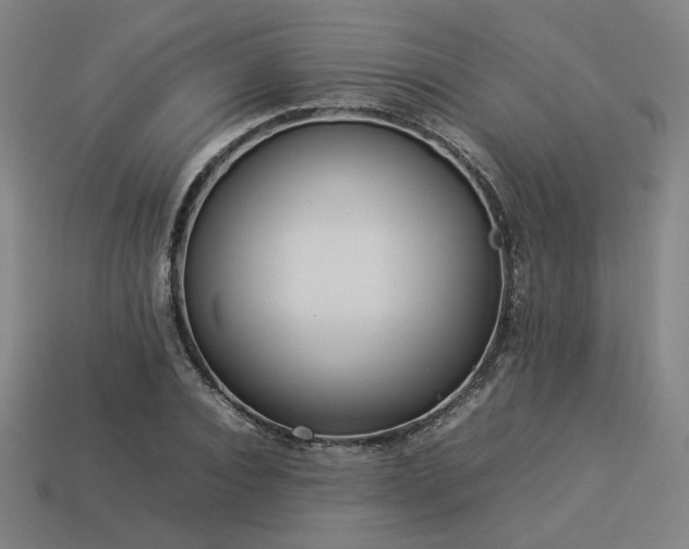 X0000113930928200909251216