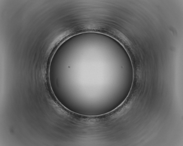 X0000113930930200909251216