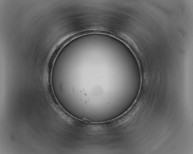 X0000113930931200909251216