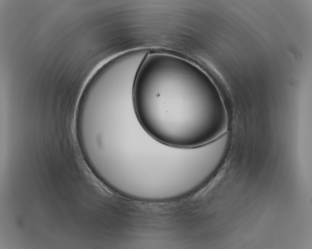 X0000113930932200909251216
