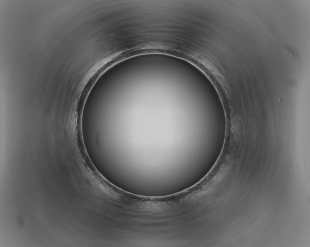 X0000113930933200909251216