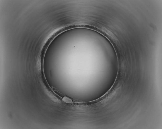 X0000113930934200909251216