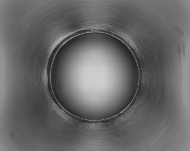 X0000113930936200909251216